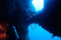 地形ダイビング三昧🎶