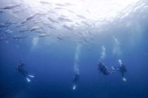 ワイド狙いで🐟🐟