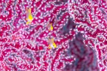 皆さんのステキPHOTO ✨✨