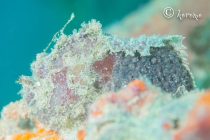 すくすく育っています🎶