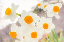 この時期ならではの☺️