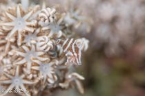 シニガンスープで身体ポカポカ🎶