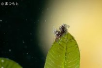 良いお天気☀️