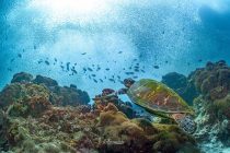 素敵フォト✨✨