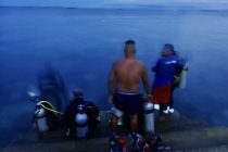 ナイトダイビングまで〜🌟