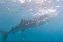 お客様ステキふぉと🎶