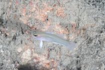 2週間有難うございました！