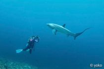 マラパスクアツアー２日目！！