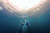 ダイビング＆マーメイドスイム🧜‍♀️