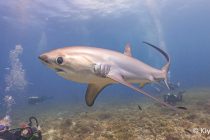 マラパスクア再び！！！😆