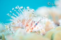 窒素抜きDAY⭐️