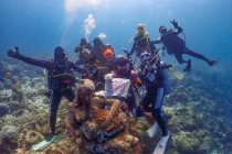 おめでとうございます🎉✨✨