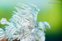 じっくりフォトダイビングなGW🌟