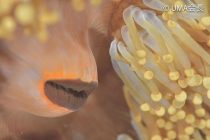 お客様のステキフォト🌟