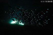 GWも有難うございました✨✨