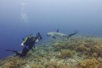 マラパスクア2日目！