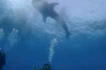 オスロブツアー⭐️