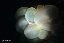 ボート点検のため！