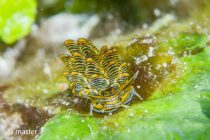 晴れた晴れた☀️