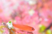 心もお腹もHappy✨✨