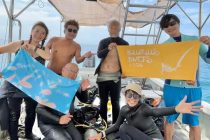 沖縄の海を満喫中🎵