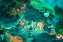 晴れた晴れた☀️