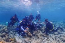 体験ダイビング＆FUNダイビング🎵