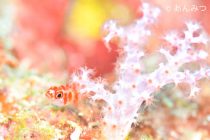 メルヘン合宿スタート💕