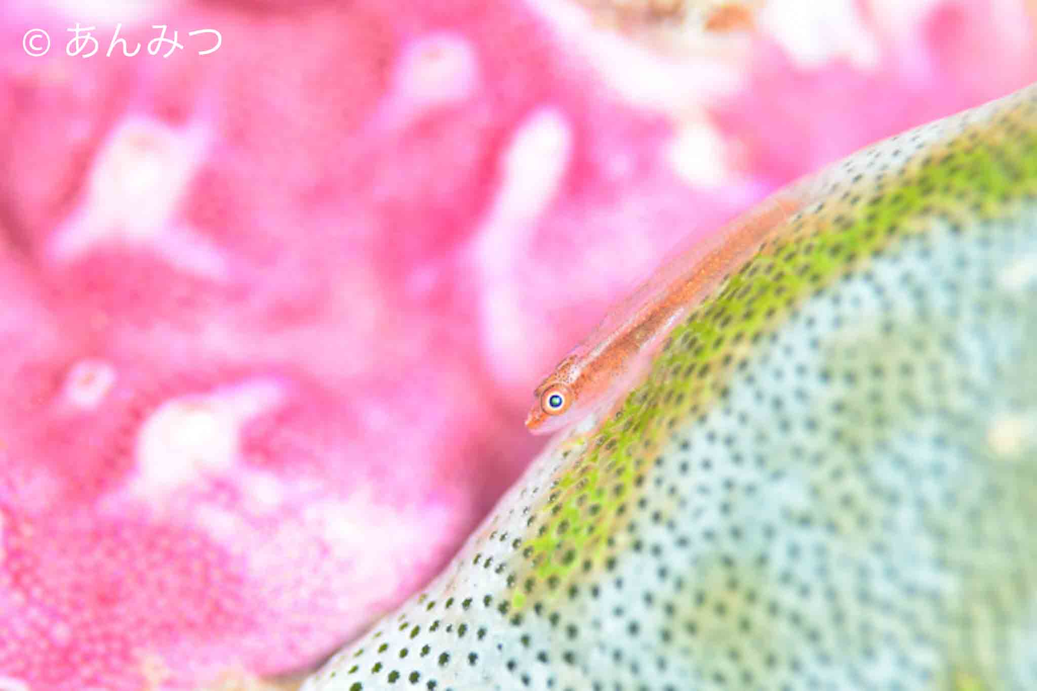 気分も明るく🌈