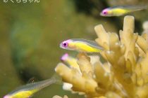 まったりですね〜！