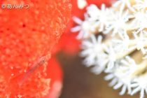 海が荒れる前に！！！