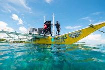 念願の🐟🐟🐟