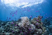 連休ですねー♫