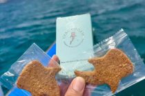 セブクッキー！！！