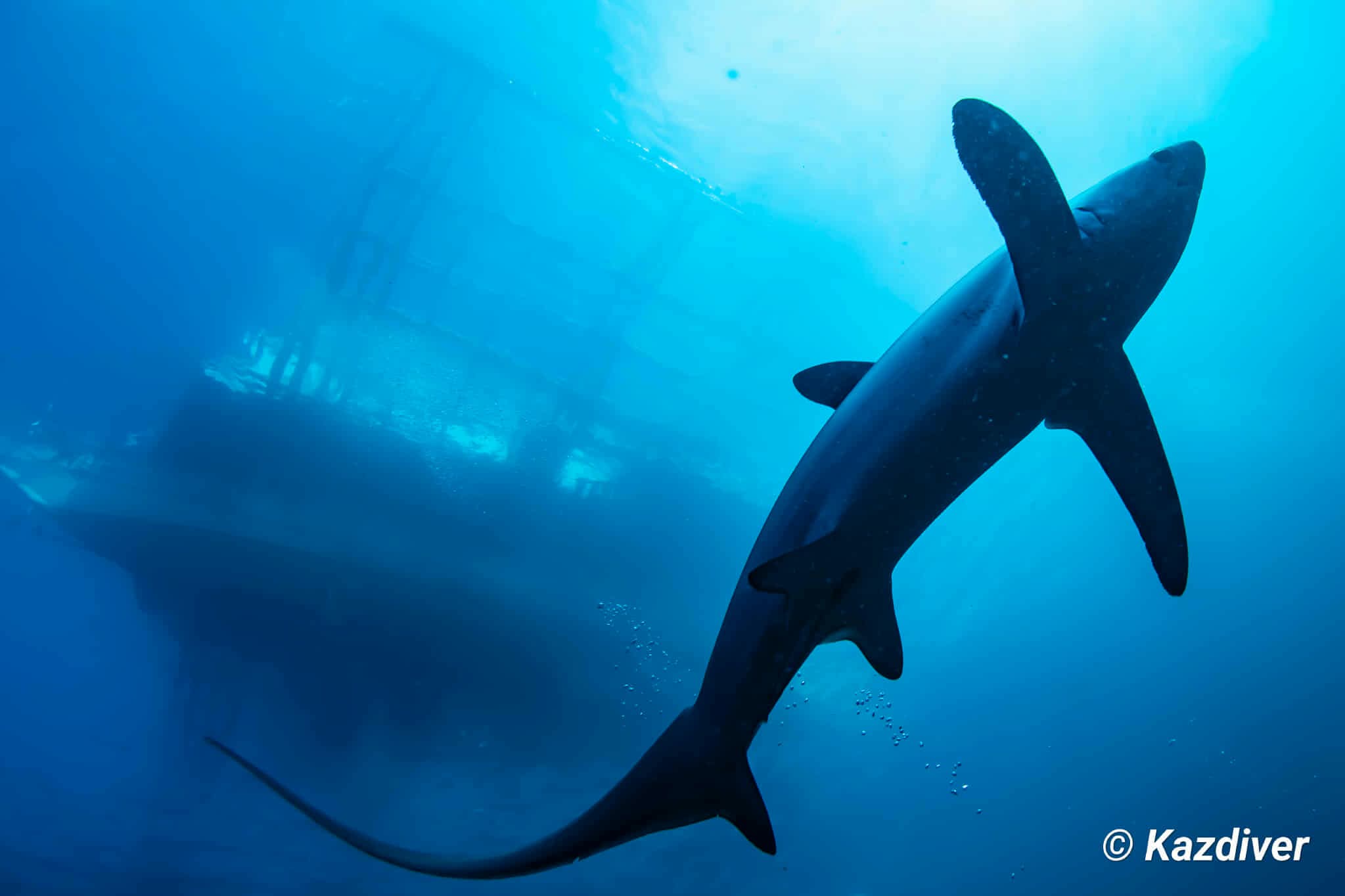 心の余裕。ニタリダイビング2日目！