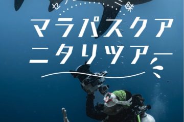 2026年茂野優太さんと潜ろうツアー🦈🐠
