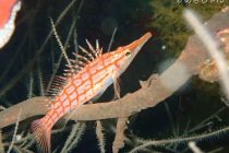 電池切れ注意〜😆