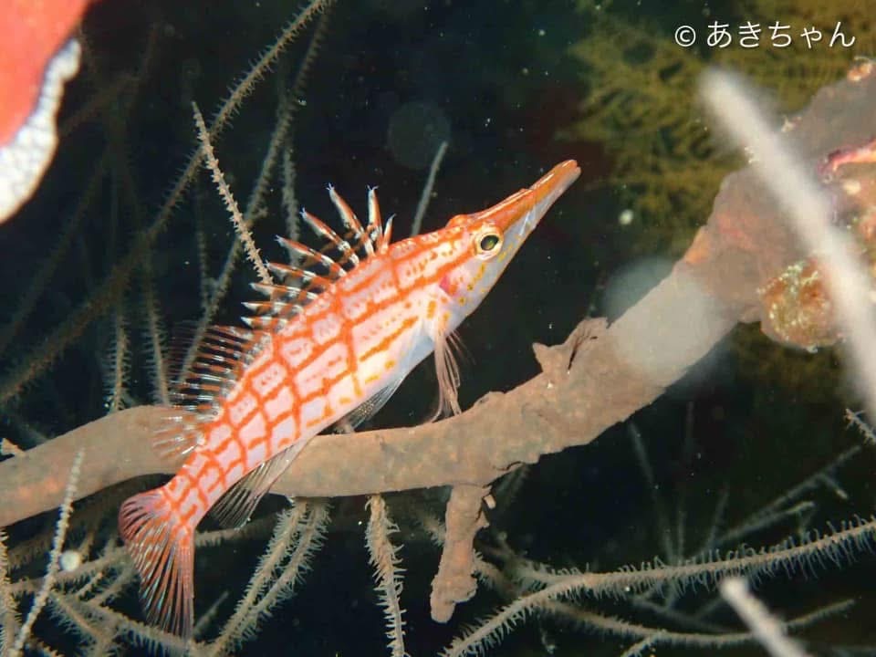 電池切れ注意〜😆