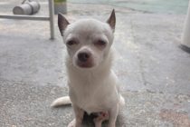 魅惑的な世界へ⭐️