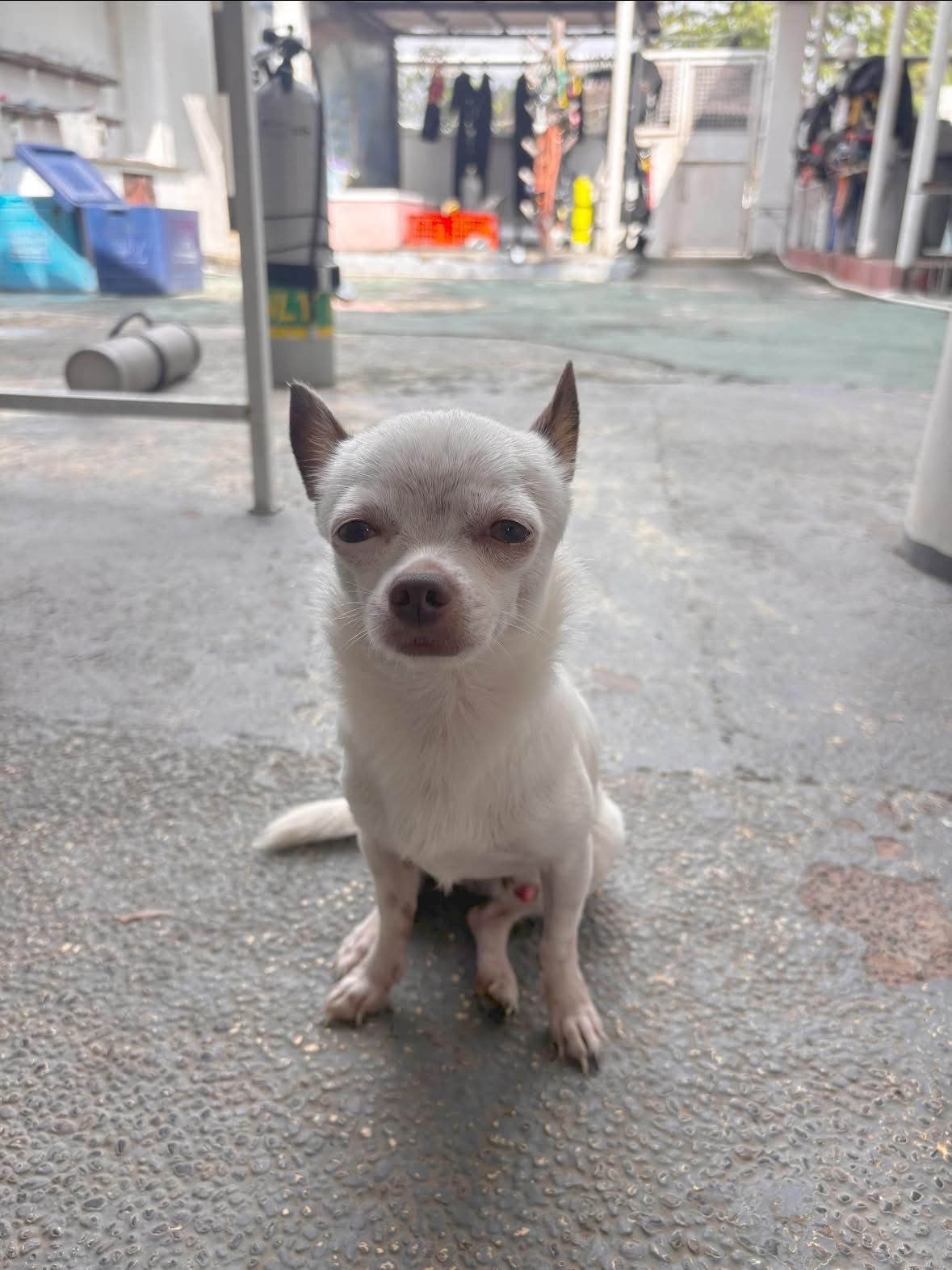 魅惑的な世界へ⭐️