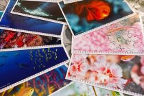 もうすぐ2026年😳