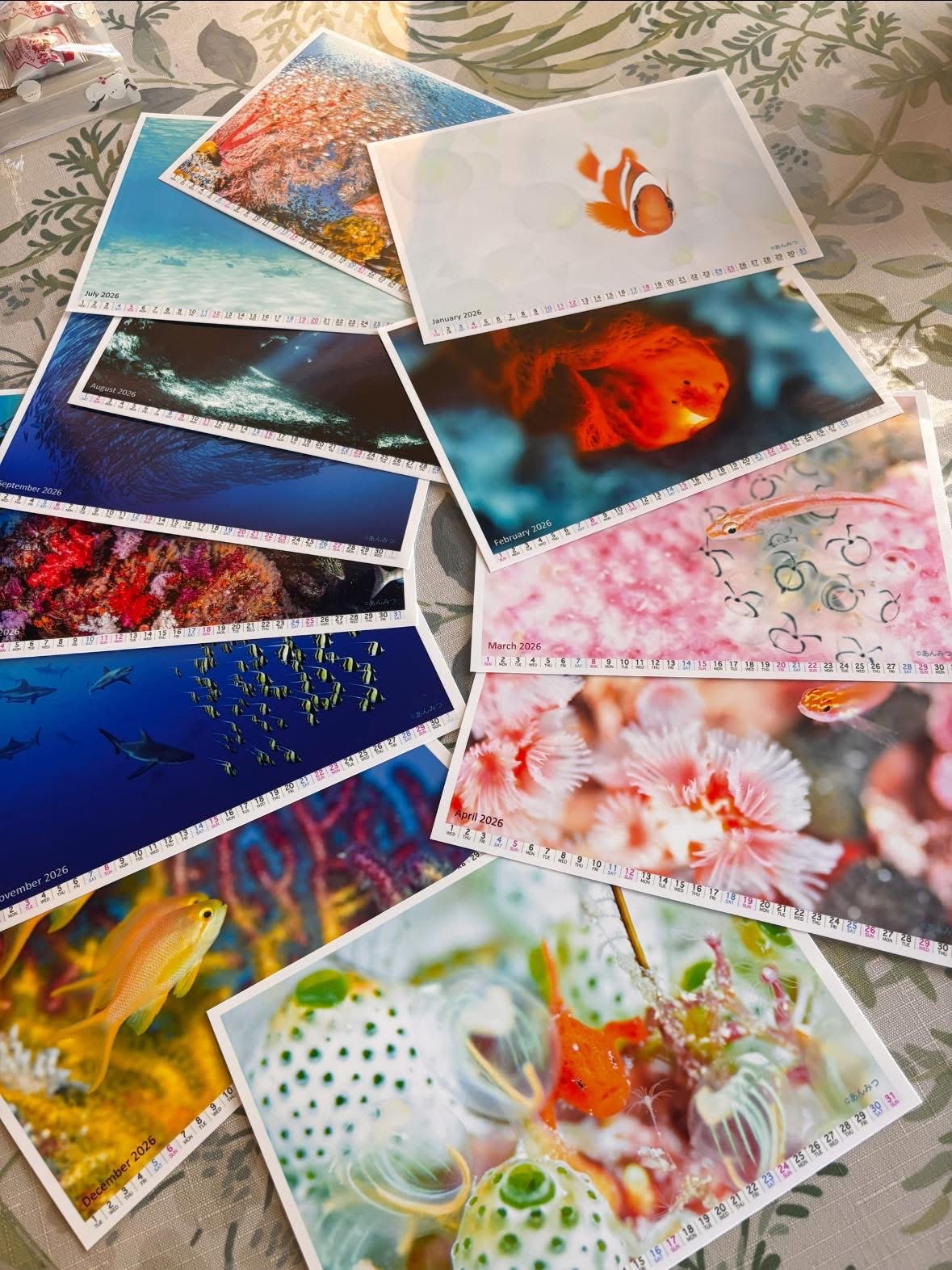 もうすぐ2026年😳