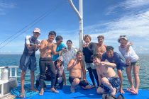 群れ🐟️🐟️