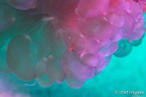 赤松ダイバーズツアー⭐️