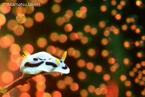 水中イルミネーション🌈