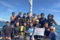 ダイビング日和☀️