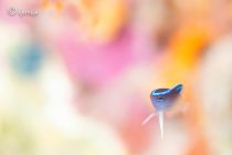 ワクワクを忘れずに🌈