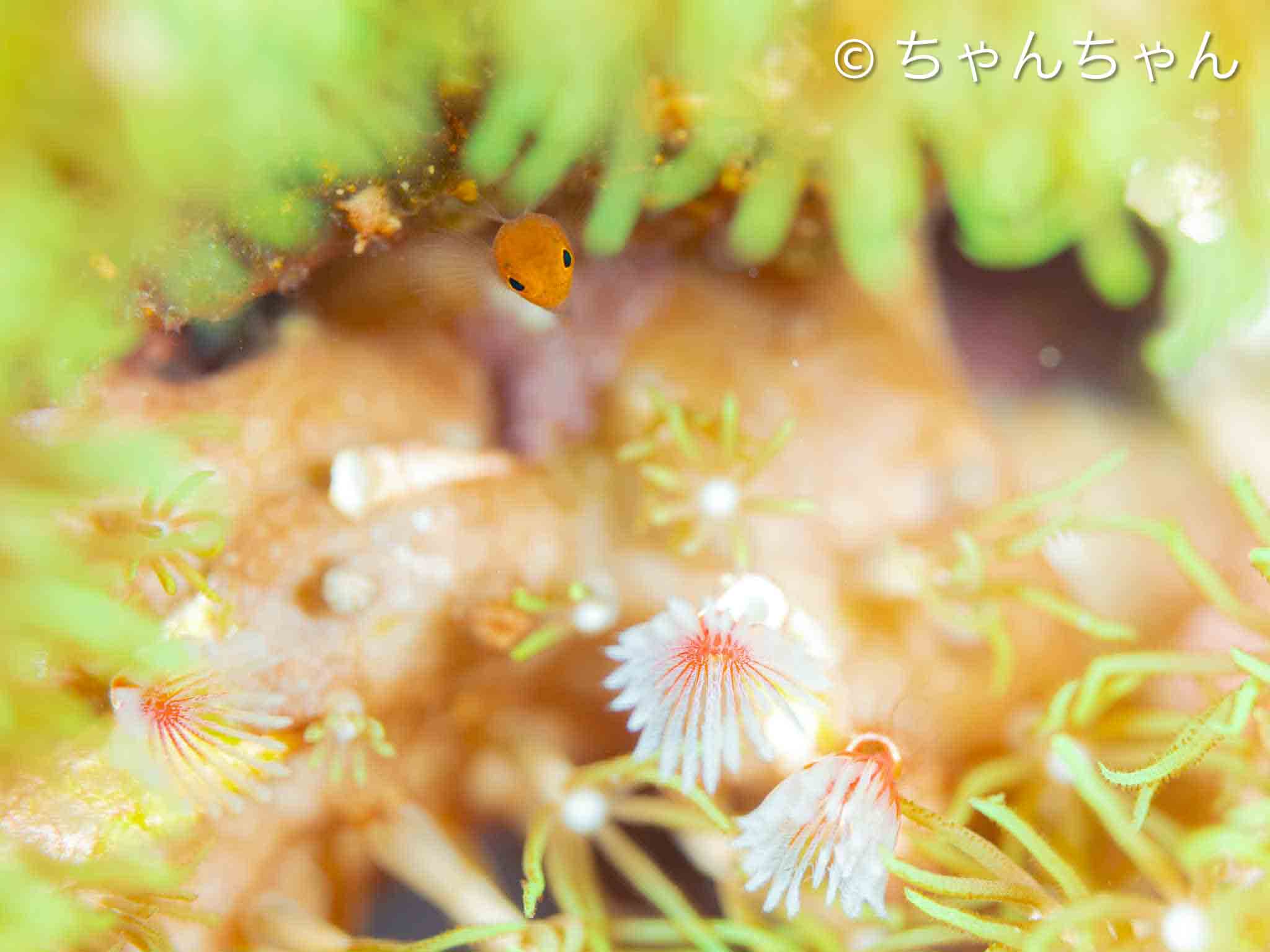 年末年始のステキフォト！