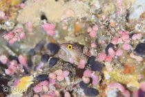 ブログ初め✒️