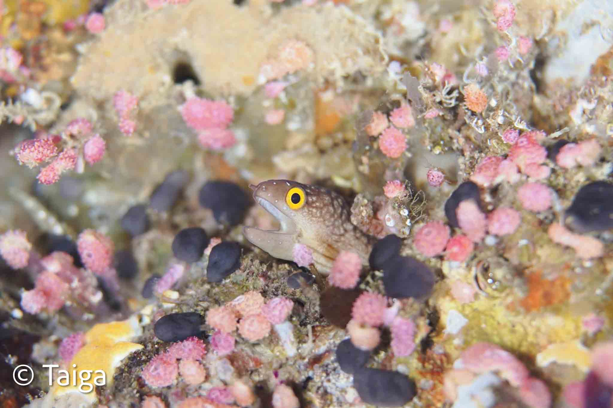 ブログ初め✒️